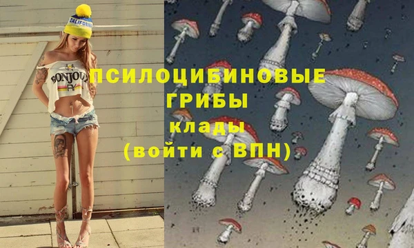героин Алексин