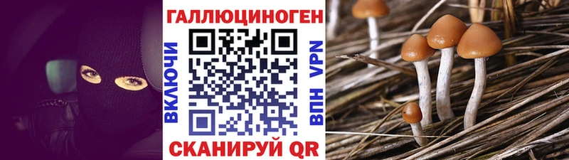 MEGA рабочий сайт  Катав-Ивановск  Псилоцибиновые грибы Psilocybine cubensis 